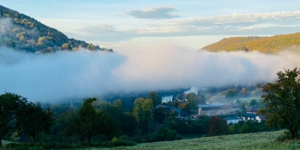 Blick auf den Neckar. Über dem Fluss liegt Nebel.