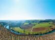 Blick über Weinberge auf den Neckar.